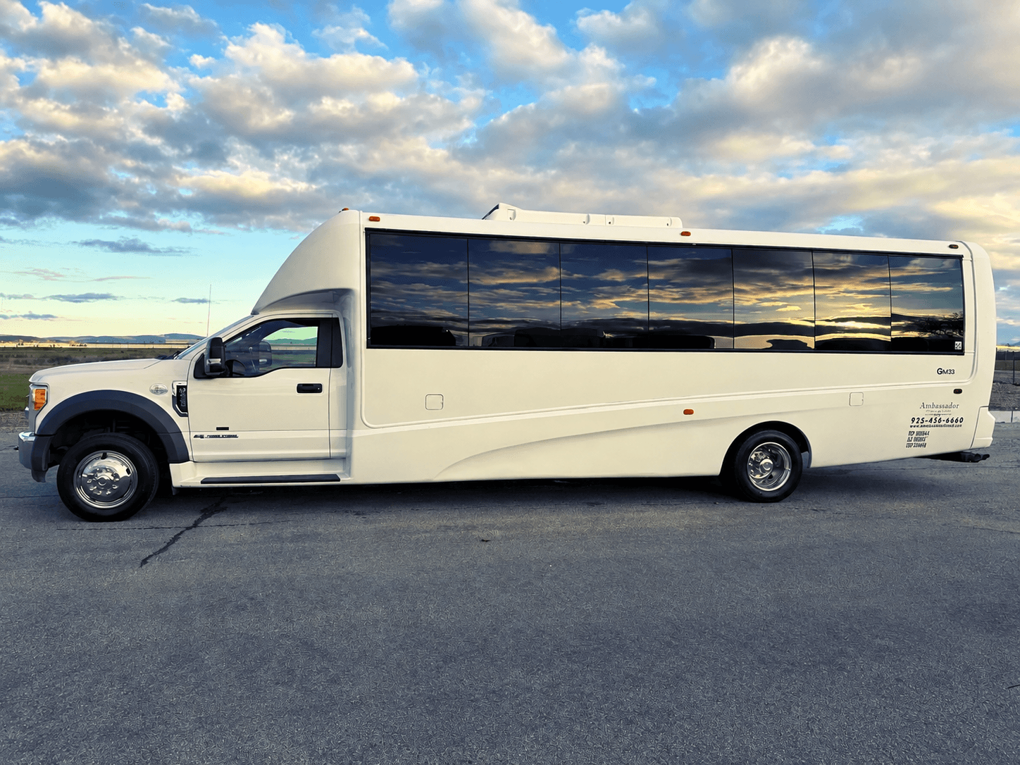 Ambassador Buses 20-passenger party bus