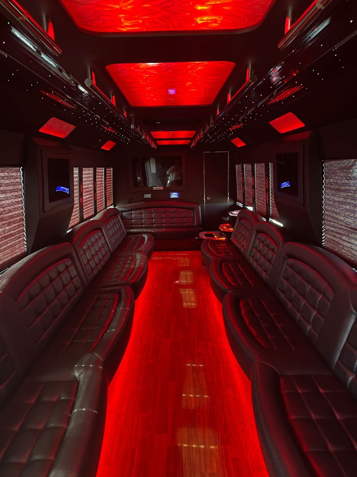 Ambassador Buses 35-passenger party bus